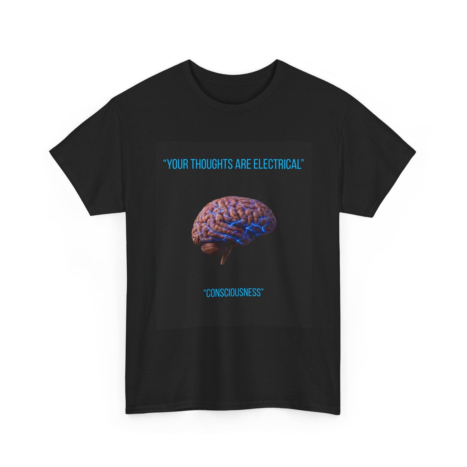 Apparel & Merchandise