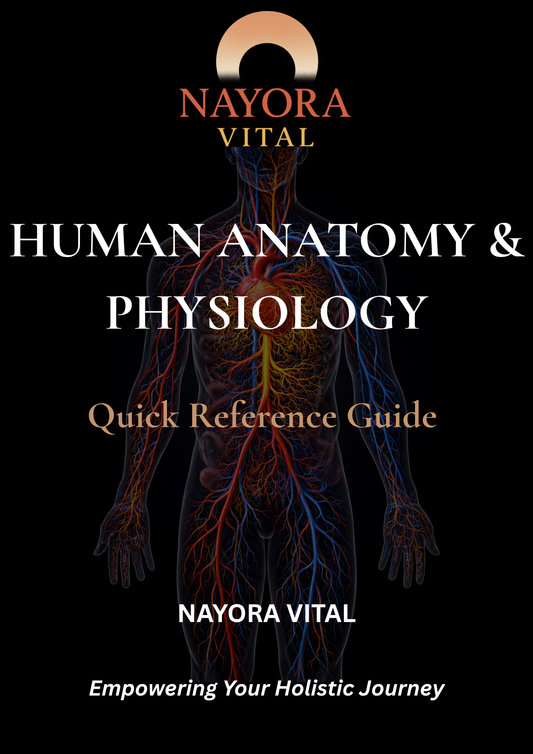 Nayora Vital — Human Anatomy & Physiology Quick Reference Guide